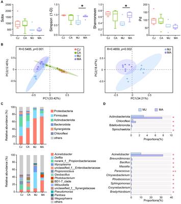 Multi-omics analysis revealed the differences in lipid metabolism of the gut between adult and juvenile yellowfin tuna (Thunnus albacares)